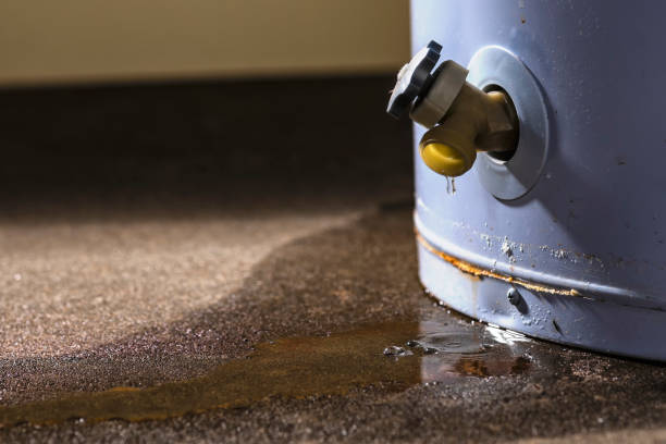 Best Water damage restoration near me  in , NM