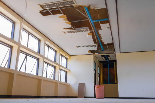Best Flooded house restoration  in , NM