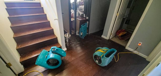Best Mold removal after water damage  in , NM