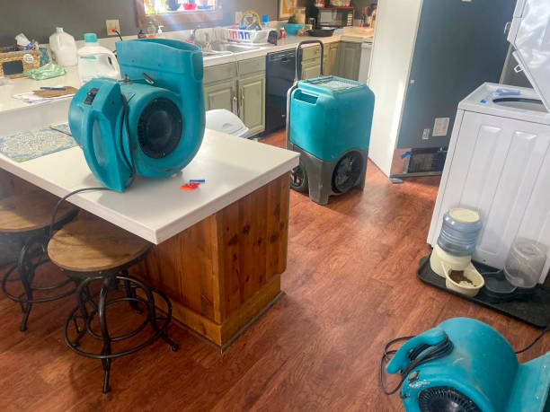 Best Commercial water damage restoration  in , NM