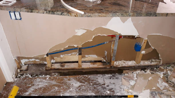 Best Water damage cleanup near me  in , NM