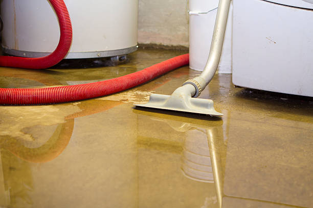  , NM Water damage restoration Pros