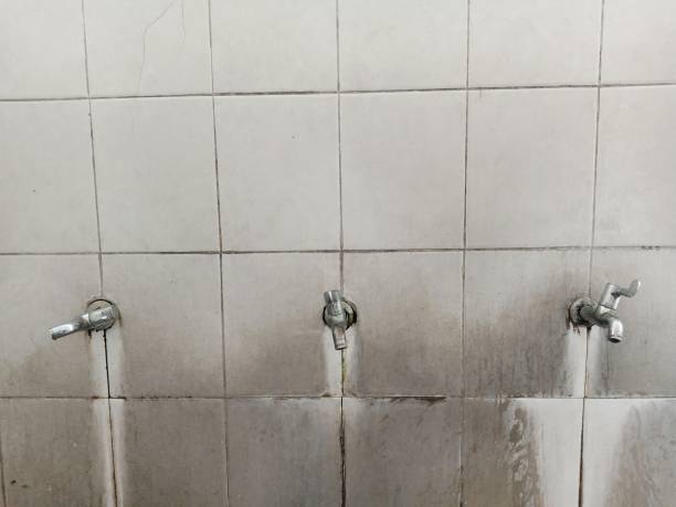 Best Emergency water damage restoration  in , NM