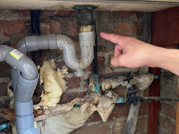 Best Sewage cleanup and water damage restoration  in , NM