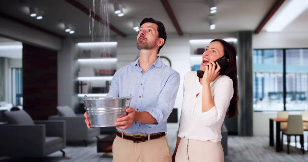 Best Local water damage restoration  in , NM