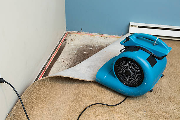 Best Flood restoration services  in , NM