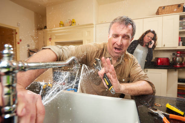 Best Water damage restoration near me  in , NM